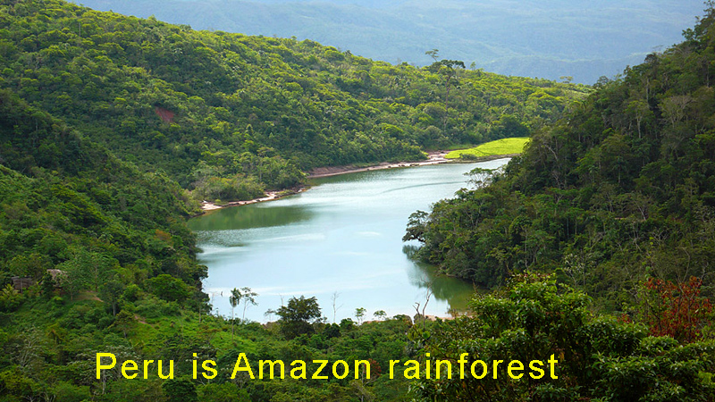 PeruisAmazonrainforest