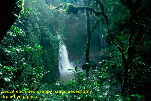 PeruisAmazonrainforest5