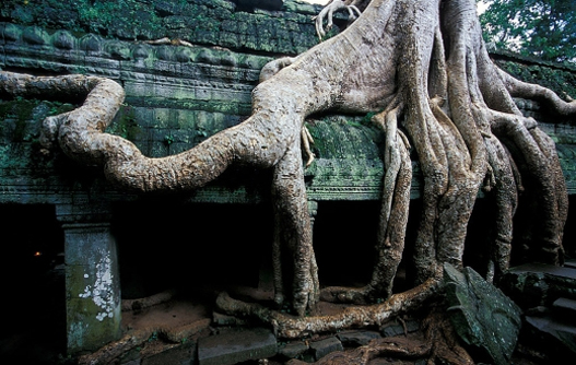 Ta_Prohm3